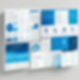 A diagram illustrating AmeriHealth service offerings