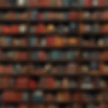 Collectibles Cataloged Effectively A dynamic view of collectibles organized in a user-friendly format