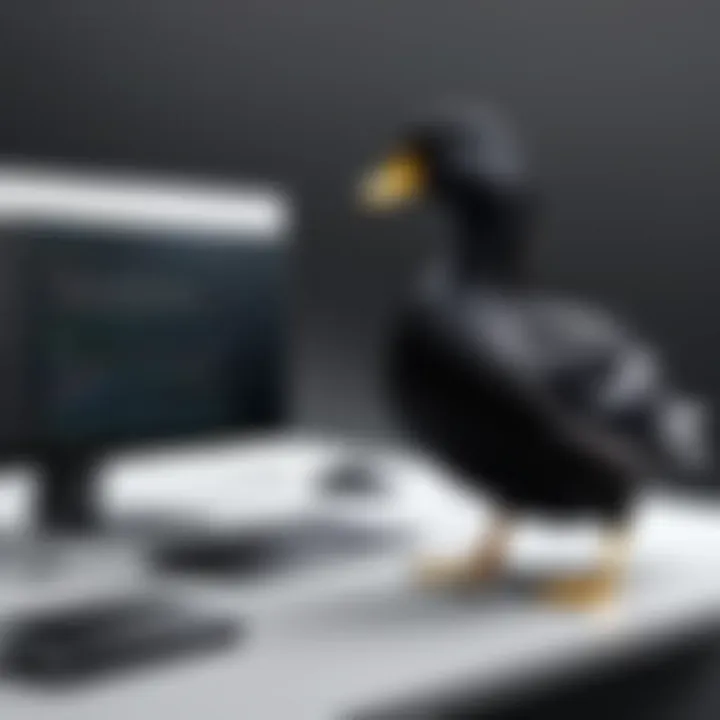 Illustration of Black Duck software composition analysis tool