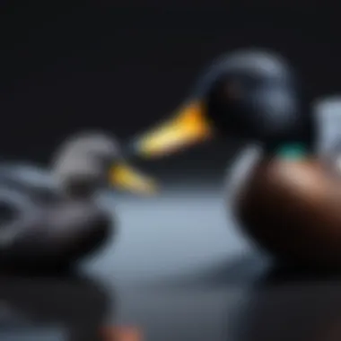 Analyzing Black Duck vs. Snyk: Unveiling Key Differences Comparative analysis between Black Duck and Snyk