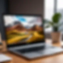 Chromebook remote assistance setup