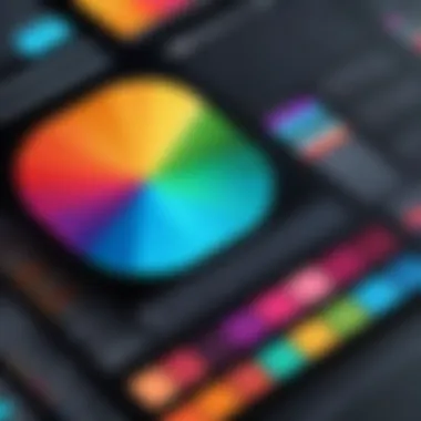 Elevating Designs with Unique Color Palettes Color Palette Selection