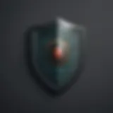 Shield with magnifying glass icon