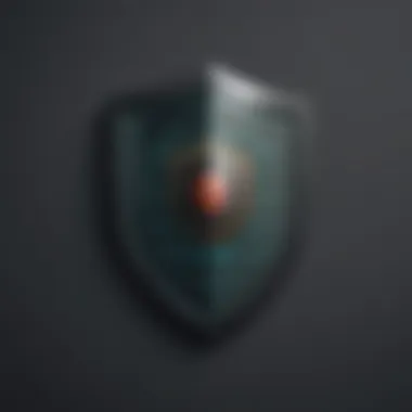 Shield with magnifying glass icon