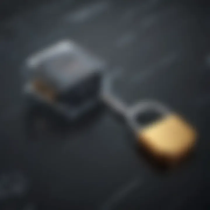 Illustration of a key unlocking a digital lock symbolizing IT skill enhancement