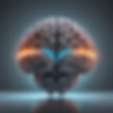 Illustration of a glowing brain symbolizing IT knowledge expansion