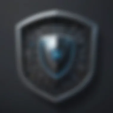 Cyber Shield Metaphor Cyber Shield Metaphor
