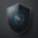 Abstract representation of digital security shield