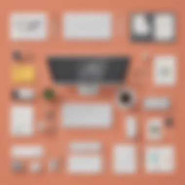 Usability Insights