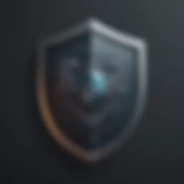 Guardian of Confidentiality Document Security Shield