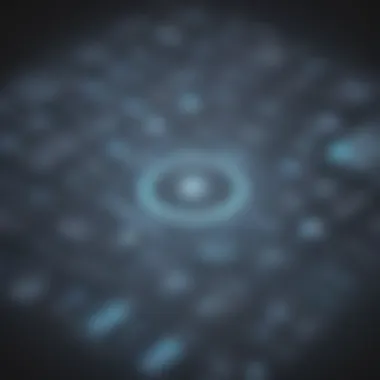 Navigating the Tech Landscape Dynamic Operations at iSpring Solutions Inc.