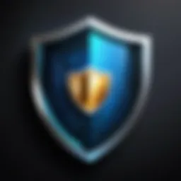 A shield representing data protection