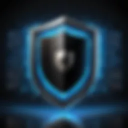 A digital shield representing online security
