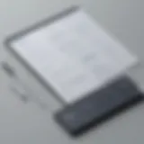 Innovative Therapy Notes Software Interface