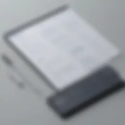 Innovative Therapy Notes Software Interface