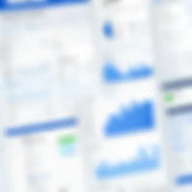 Detailed chart showcasing FreshBooks report types