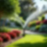 Hydrawise sprinkler system installed in a lush garden