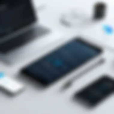 Infographic displaying key features of iTranslate