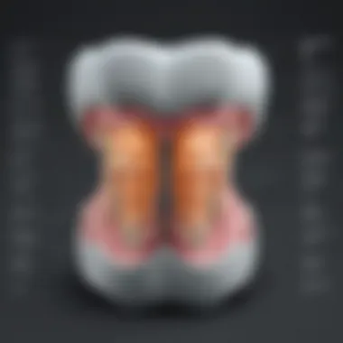 Key Considerations for Implementing CBCT Technology