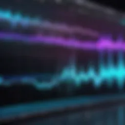 Audio waveform displayed on video editing software