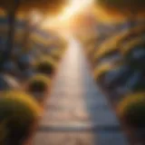 Path Illumination Illuminating the Path