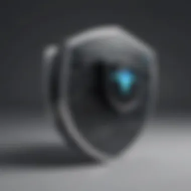 Data Protection Shield Data Protection Shield