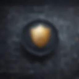 Privacy Protection Shield