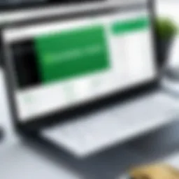 Overview of QuickBooks software interface showcasing its features.