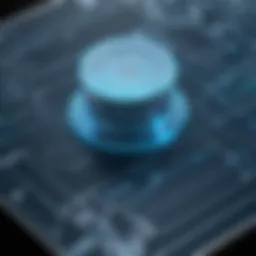 Overview of AutoCAD Lite Software Interface
