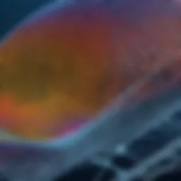 Illustration of a finite element mesh over a complex structure